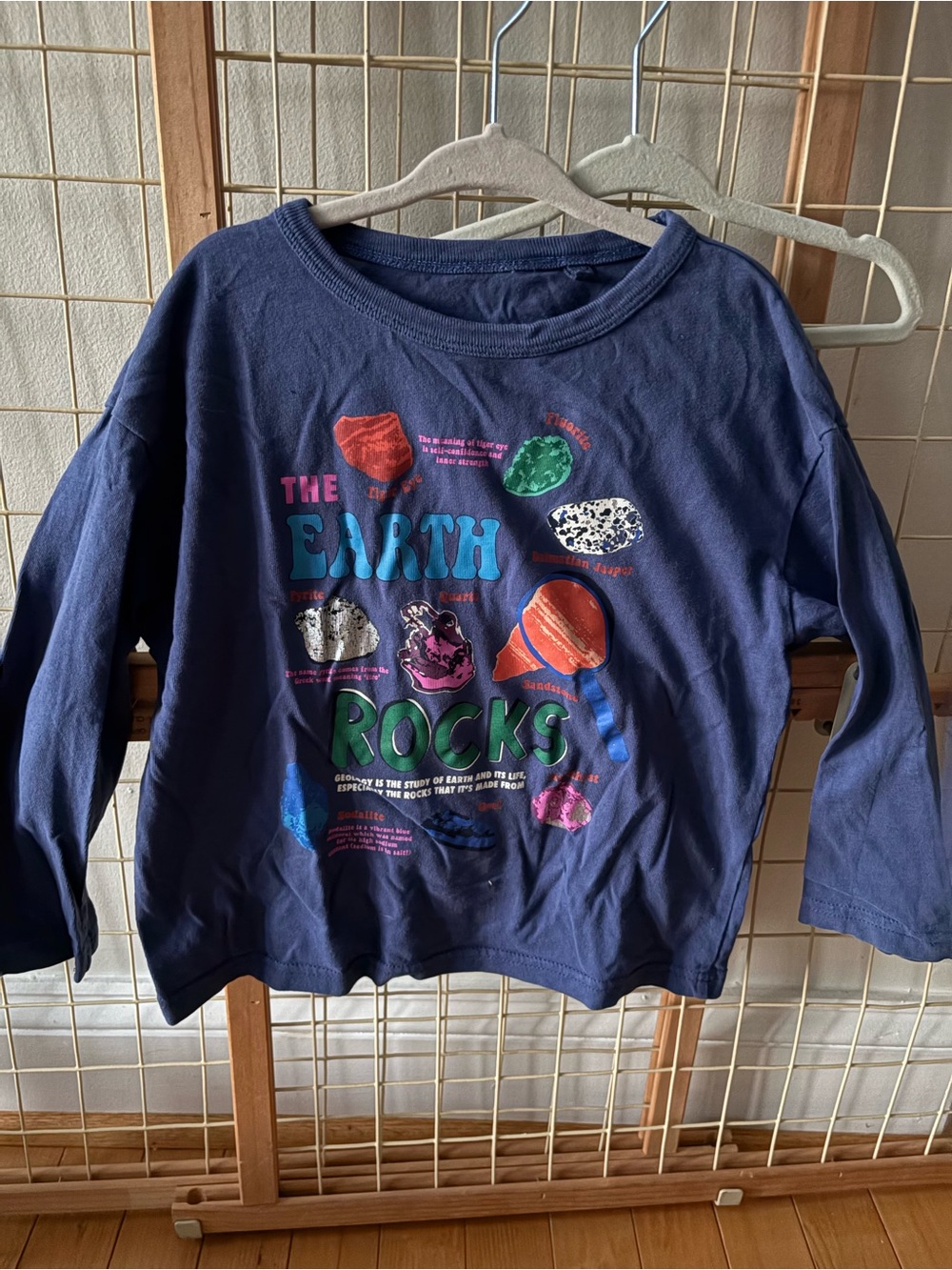 Mini Boden Navy Long Sleeve 'The Earth Rocks' Graphic Tee